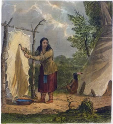 Pelle di bufalo, 1853